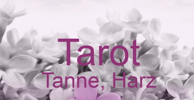 Tarot Tanne, Harz | Top-Experten für Kartenlegen, Wahrsagen, Hellsehen, Zukunftsdeutung.
